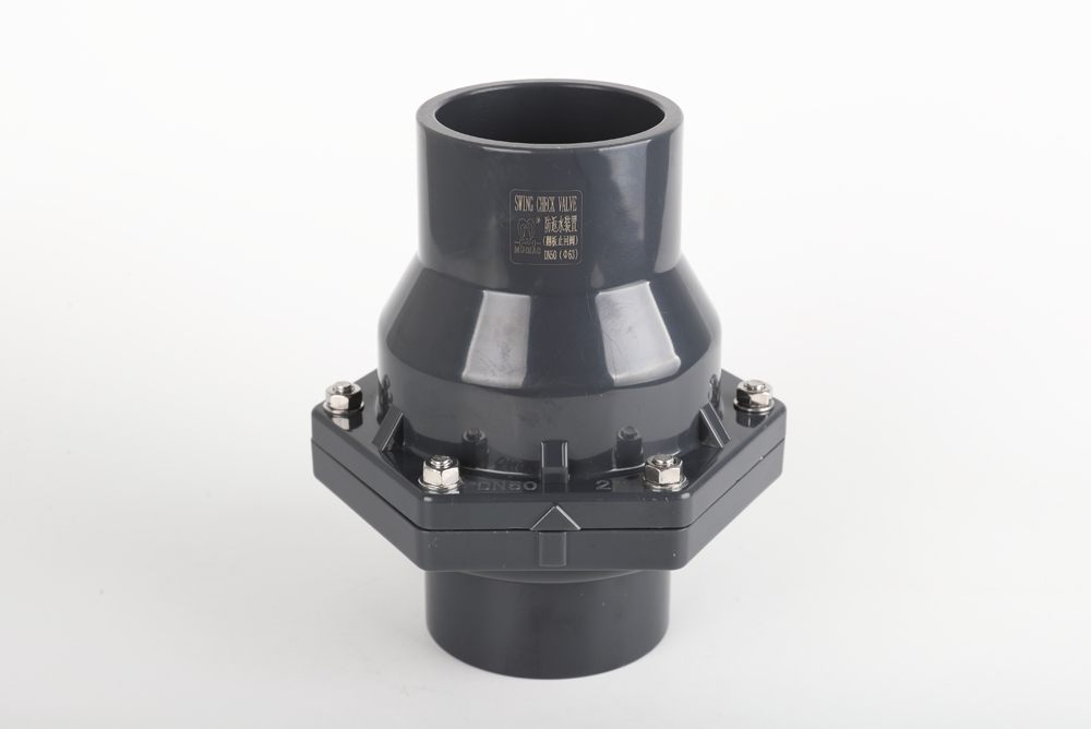 遂昌翻板式止回阀