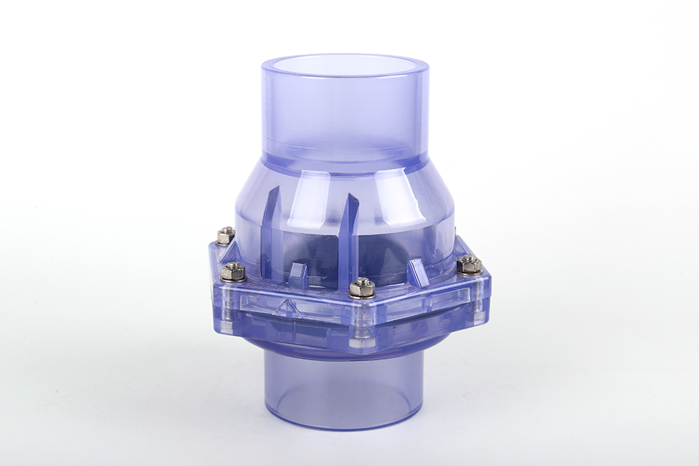 遂昌透明翻板式止回阀